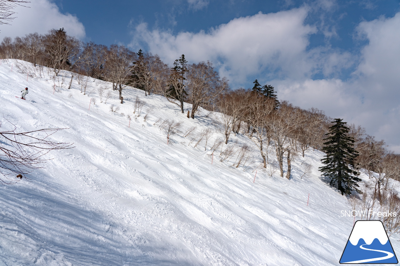 札幌国際スキー場｜さすが『KOKUSAI』！春シーズンも安泰の豊富な積雪で、まだまだ余裕で全面滑走可能です(^^)v